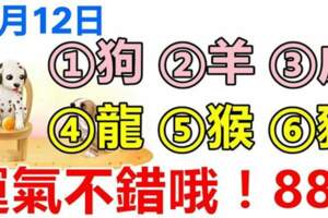 10月12日生肖運勢_狗、羊、虎大吉