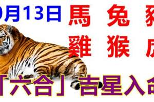 10月13日生肖運勢_馬、兔、豬大吉