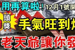 不用再算啦，12月1號開始手氣旺到爆的生肖，老天爺讓你發