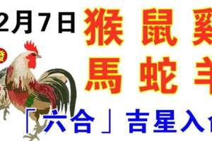 12月7日生肖運勢_猴、鼠、雞大吉