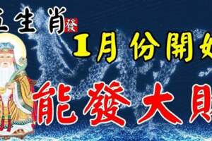 2023年1月份開始能發大財的五個生肖