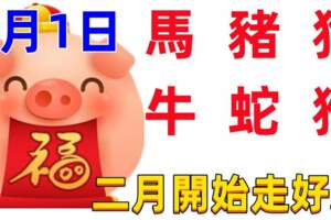 2月1日十二生肖【每日老黃曆】