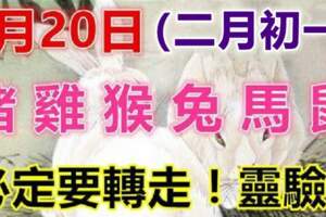 2月20日（豬、雞、猴、兔、馬、鼠）必定要轉走