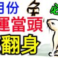 6月份鴻運當頭，大翻身的生肖