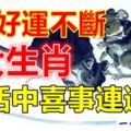 6月好運不斷，生活中喜事不斷的生肖！