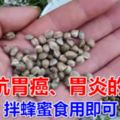 對抗胃癌、胃炎的油，拌蜂蜜食用即可