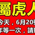 就在今天，屬虎人6月20號，十年等一次，請珍惜！