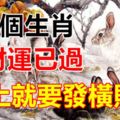 這3個生肖，破財運已過，馬上就要發橫財！