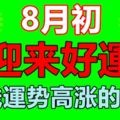 8月初就迎來好運，金錢運勢高漲的生肖