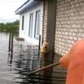 洪水來襲，主人被迫拋棄家中愛狗！3天後回家，卻看到心酸無比的一幕！