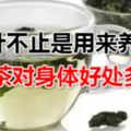 桑葉原來不止是用來養蠶，桑葉茶對身體好處多多