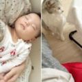 她生下寶寶後沒有像別人一樣把15歲的老貓咪送走，結果這些照片證明了她的決定是對的！
