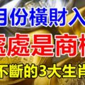 9月份橫財入命，處處是商機，發財不斷的3大生肖屬相！