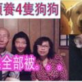 [悲怒新聞]這家人領養4隻狗狗表示會照顧卻全部...(可憐的狗狗)
