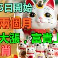 8月26日開始，未來兩個月都能運勢大漲的3大生肖，富貴上門！