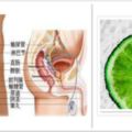 吃什麼緩解前列腺炎，不值錢的它竟能保護前列腺
