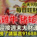 今天9月16日：每日旺財提示：龍馬雞牛，豬蛇猴兔。迎接週末大財運！你上榜了請留言91688必轉！