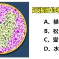 準到我下跪！你第一眼看到什麼動物？看穿你不為人知的潛藏性格！