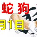 10月1日！生肖兔，蛇，狗要格外注意了！轉走最靈！