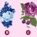 4種顏色的花選1種，測出你對待愛情的態度！