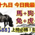 十月十九日，今日我最旺！馬+狗+龍+兔+虎+鼠！12688上榜必轉！財運砸身