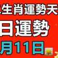 十二生肖運勢天天看，今日運勢：11月11日