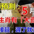 大師預測：5月1日開始這6生肖有大喜事，出來接囍，遲了就沒了！