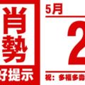 生肖運勢，天天好提示（5月2日）