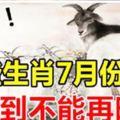 這些生肖7月份開始，旺到不能再旺！財是橫財，獎是頭獎！