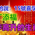 算命的說：15號喜孕降臨，添丁添福，步步高升的生肖