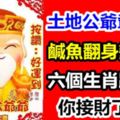 土地爺爺保佑，6個生肖「鹹魚翻身變富豪」，還不快來接下