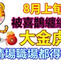 8月上旬，被喜鵲纏繞的大金虎，情場職場都得雙運