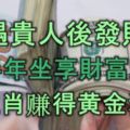 先遇貴人後發大財，下半年坐享財富之果，4生肖賺得黃金滿屋