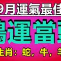 9月運氣最佳諸事順遂的四大生肖，鴻運當頭