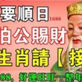 今日9月6日要順日，大伯公賜財，這8個生肖請【接財】，好運旺旺一整年，必靈