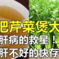 【芹菜紅棗煲湯】日常生活應該如何養肝護肝？！肝不好的趕快把它存起來！