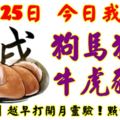 10月25日，今日我最旺！狗馬狗兔牛虎豬鼠！【28888】越早打開越靈驗！點個讚吧！