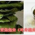 研究表明霜桑葉具有抗炎的作用，桑葉還具有穩定神經系統的功能