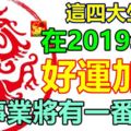 這四大生肖在2019年裡好運加持，財運環繞，事業將有一番成就！