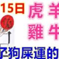 11月15日生肖運勢_虎、羊、兔大吉