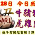 11月28日，今日我最旺！牛豬狗兔虎雞鼠馬！【22388】越早打開越靈驗！點個讚吧！