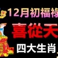 12月初福祿傍身，喜從天降的四大生肖