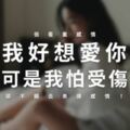 「我好想愛你，可是我怕受傷！」很看重感情，卻不願去表達感情！