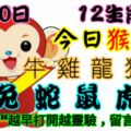 2019年1月20日，星期日農歷臘月十五（戊戌年乙丑月丁巳日）