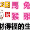 1月22日生肖運勢_馬、兔、豬大吉