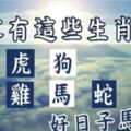 2019年六大福相：豬，虎，狗，雞，馬，蛇，好日子馬上來