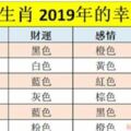 十二生肖2019年的幸運顏色，什麼顔色最旺你？看看就懂了！