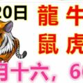 2月20日生肖運勢_龍、牛、猴大吉