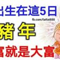 誰出生在這5日子，豬年不走彎路，只走上坡路，一富就是大富