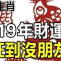 2019年財運旺到沒朋友的五大生肖